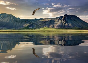 Celebrity Couple’s High-Profile Divorce Sparks Debate About Privacy Laws