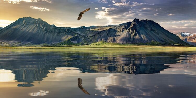 Celebrity Couple’s High-Profile Divorce Sparks Debate About Privacy Laws