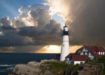 Rising Star Athlete’s Inspiring Journey to Olympic Success