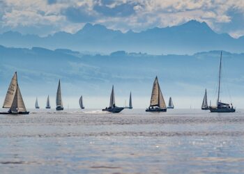 The Mental and Physical Benefits of Participating in Team Sports